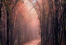 利物浦1-1战平伯恩茅斯，英超积分领跑压力骤增