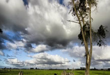 阿尔马达不是右边锋吗？本菲卡确实需要一名好右边锋