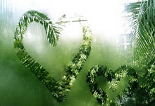 猛龙灭火箭，取得关键胜利