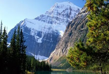 雄鹿主场击败凯尔特人，领先系列赛