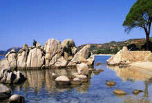 爵士大胜国王，锁定季后赛席位