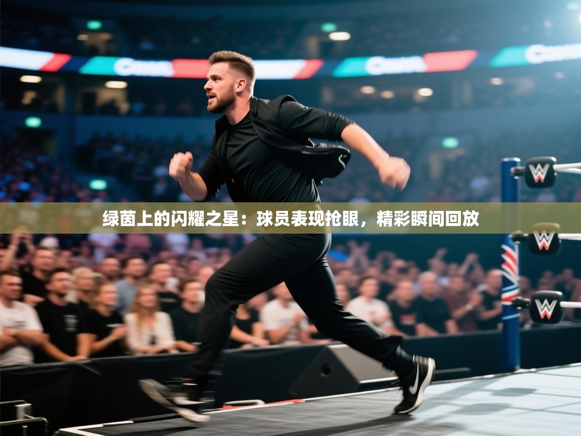 绿茵上的闪耀之星:球员表现抢眼,精彩瞬间回放 第2张