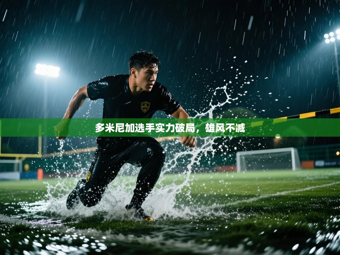 多米尼加选手实力破局,雄风不减 第2张